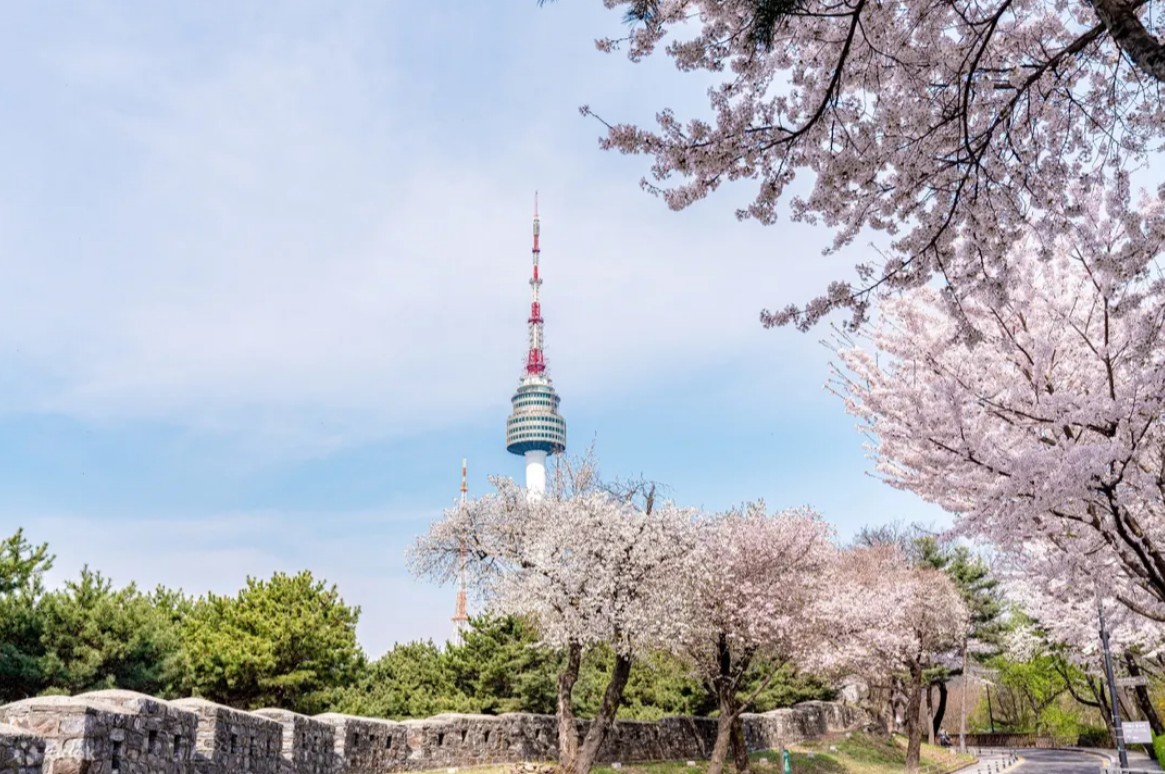 N Seoul Tower Observatory Ticket